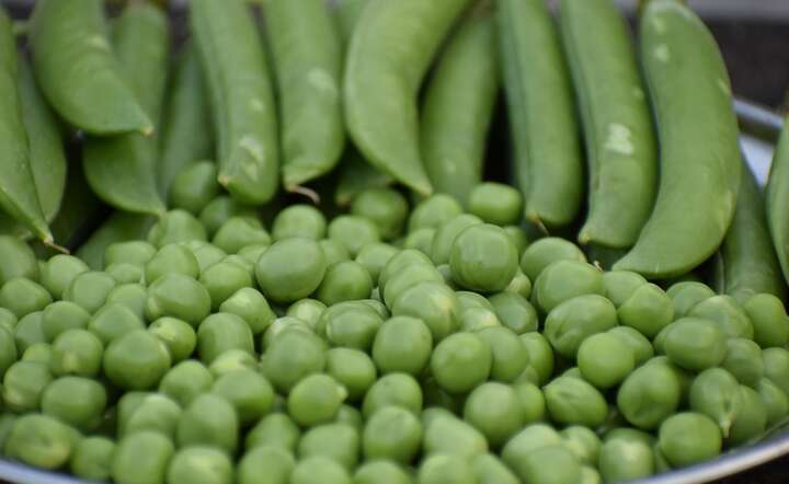 Groch jest jednym z najbardziej wartościowych produktów, które możemy znaleźć w polskiej kuchni / autor: Pixabay