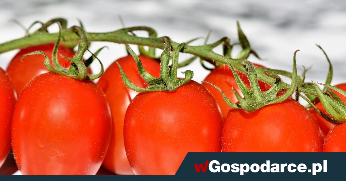 Nowalijki horrendalnie drogie!