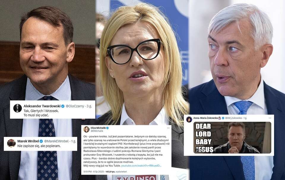 Radosław Sikorski, Ewa Wrzosek i Roman Giertych / autor: Fratria/X