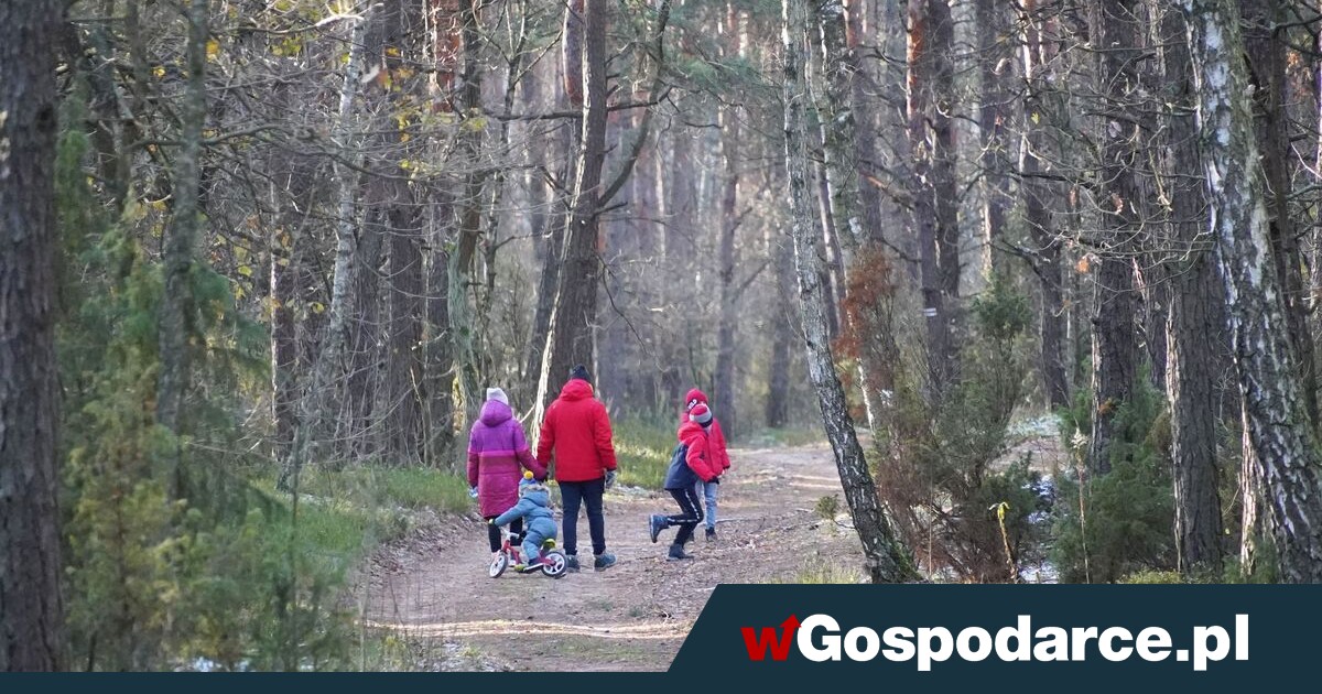 Nowy program dla rodziców: Zobacz jak skorzystać