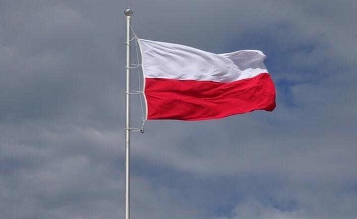 Polska flaga / autor: Pixabay