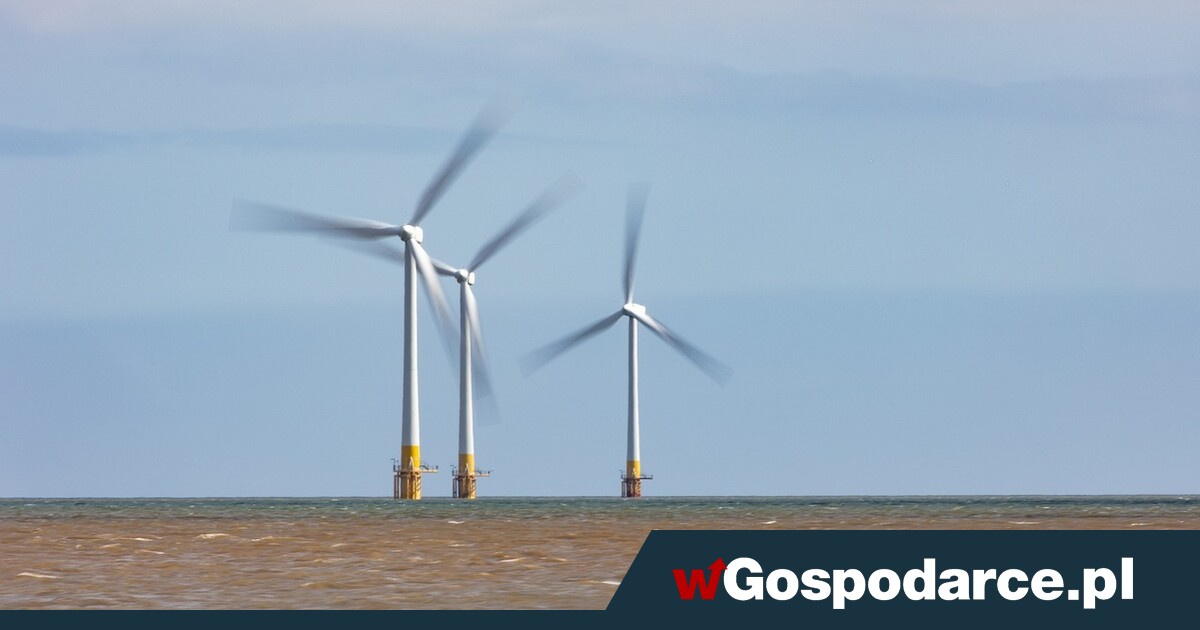 Ostry spór. Po ile prąd z morskich farm wiatrowych?