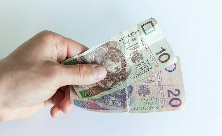 Polskie pieniądze / autor: Pixabay