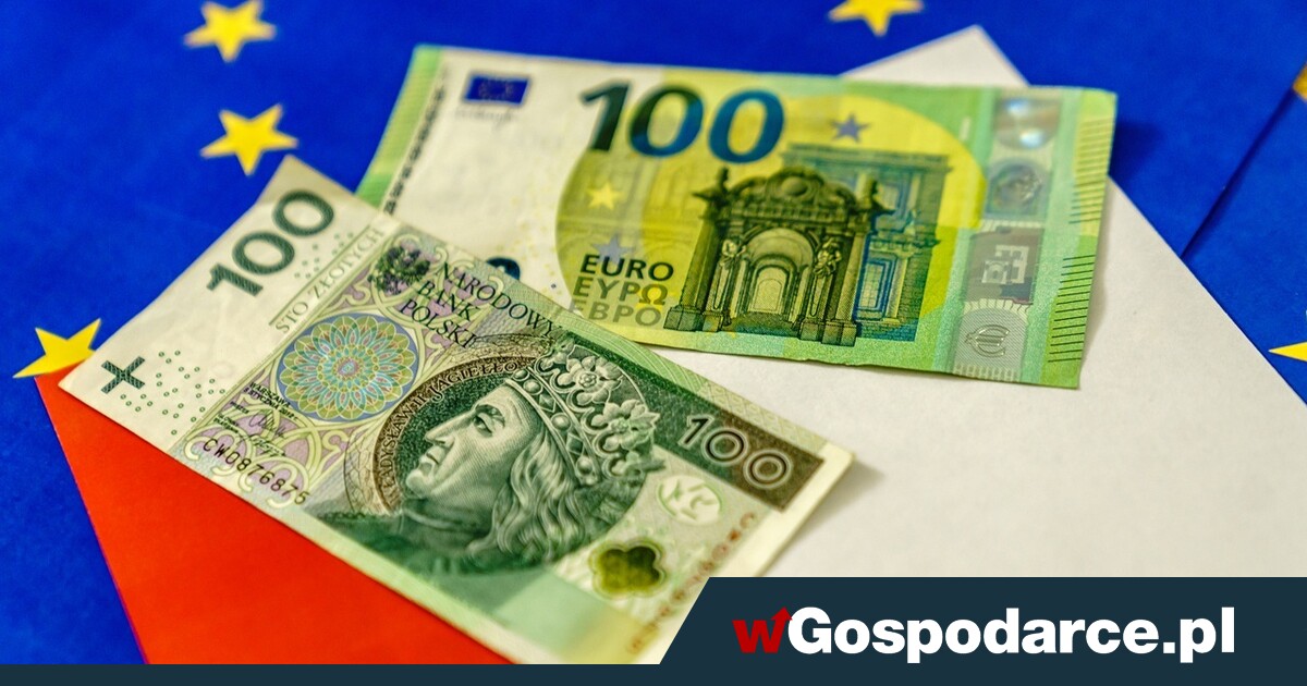 Cel Tuska: przez katastrofę finansów do narzucenia euro?