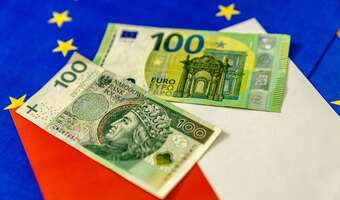Cel Tuska: przez katastrofę finansów do narzucenia euro?