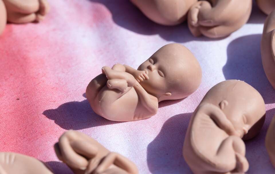 Szpital w Oleśnicy kluczy ws. aborcjonistki Gizelskiej