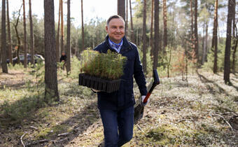 Prezydent zachęca do sprzątania lasów i sadzenia drzew
