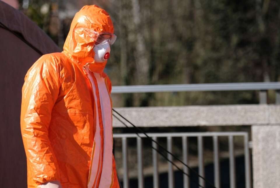 autor: PAP/Andrzej Grygiel