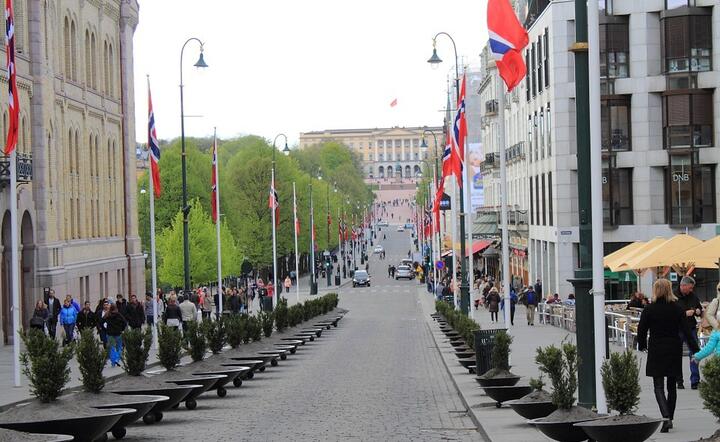 W ramach walki z zanieczyszczeniami powietrza władze Oslo wprowadziły opłaty za wjazd samochodami do miasta, na zdjęciu ulica prowadząca do Dom Królewskiego w Oslo / autor: Pixabay