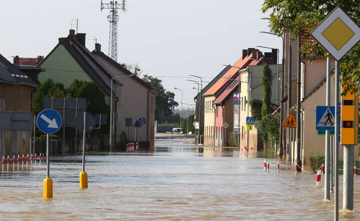 Zalane tereny w miejscowości Skorogoszcz / autor: PAP/Krzysztof Świderski