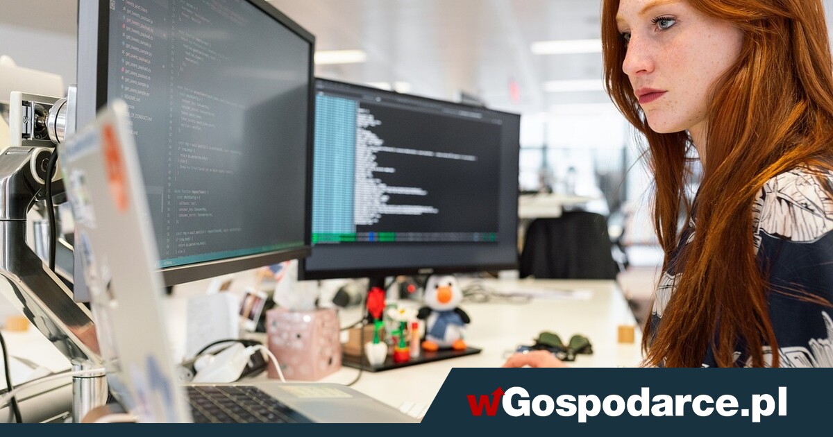 Zły zwiastun dla rynku pracy: liczba ofert w ostro dół!