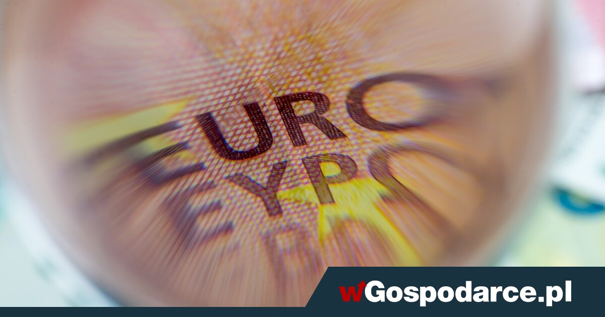 Rekordowo niskie poparcie biznesu dla euro