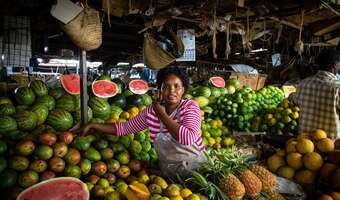 Drakońskie kary za plastikowe siatki
