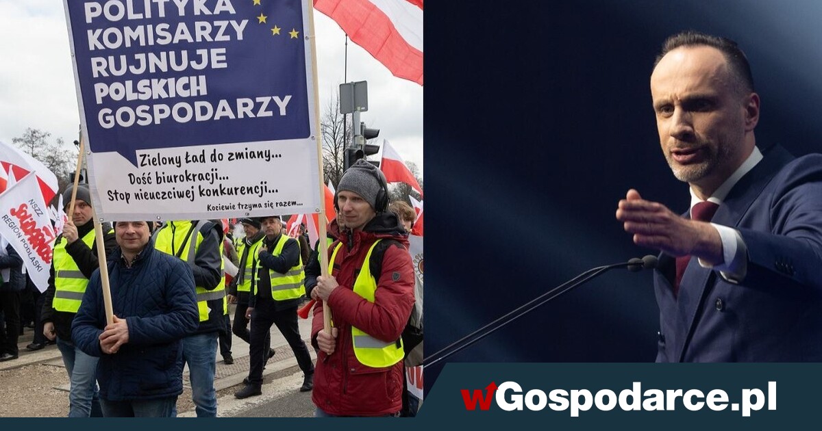 Donald Tusk is the godfather of the Mercosur agreement