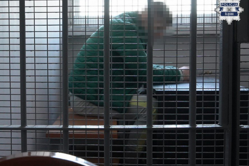 Podejrzany dojechał do Polski w specjalnie strzeżonym konwoju / autor: slaska.policja.gov.pl