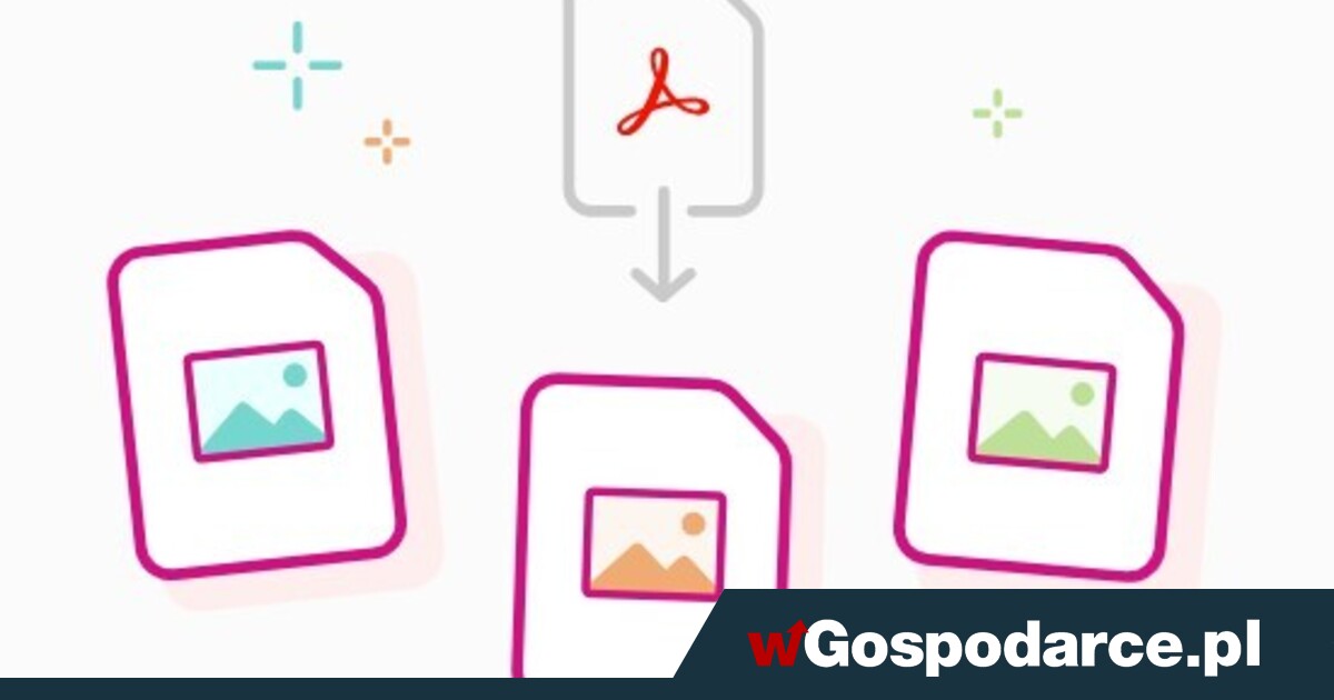 Zamiana PDF w treści wizualne - co działa najlepiej