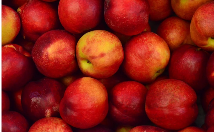 Zbiory jabłek / autor: Pixabay