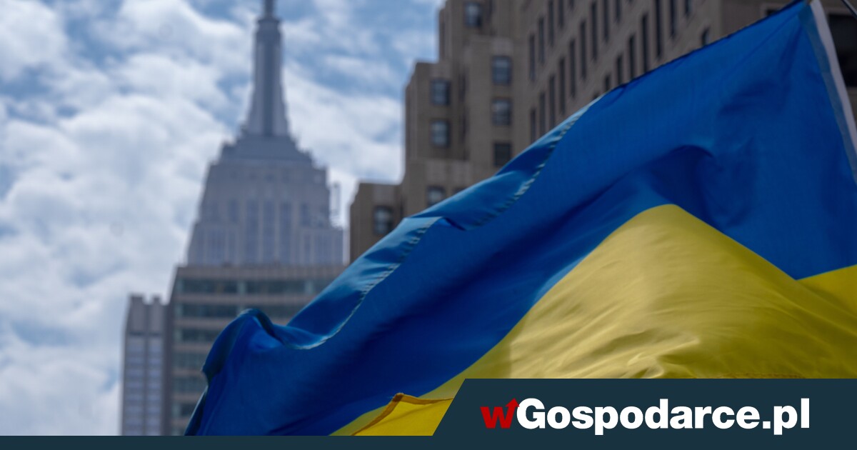Ukraińscy przedsiębiorcy otwierają firmy. Na potęgę