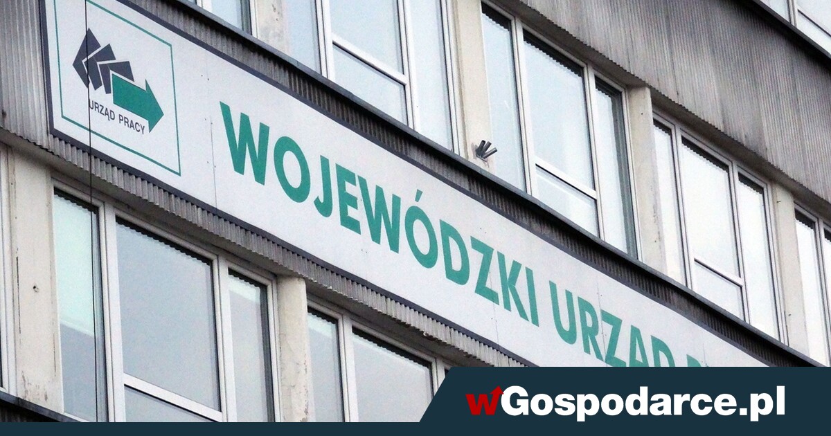 Kłopot z bezrobociem mają urzędy pracy i… ekonomiści
