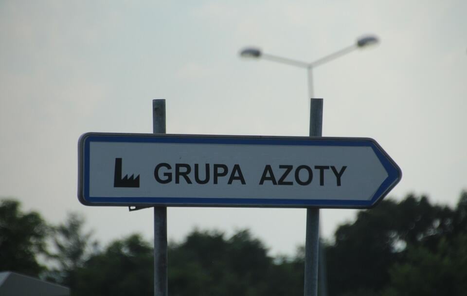 Grupa Azoty / autor: Fratria