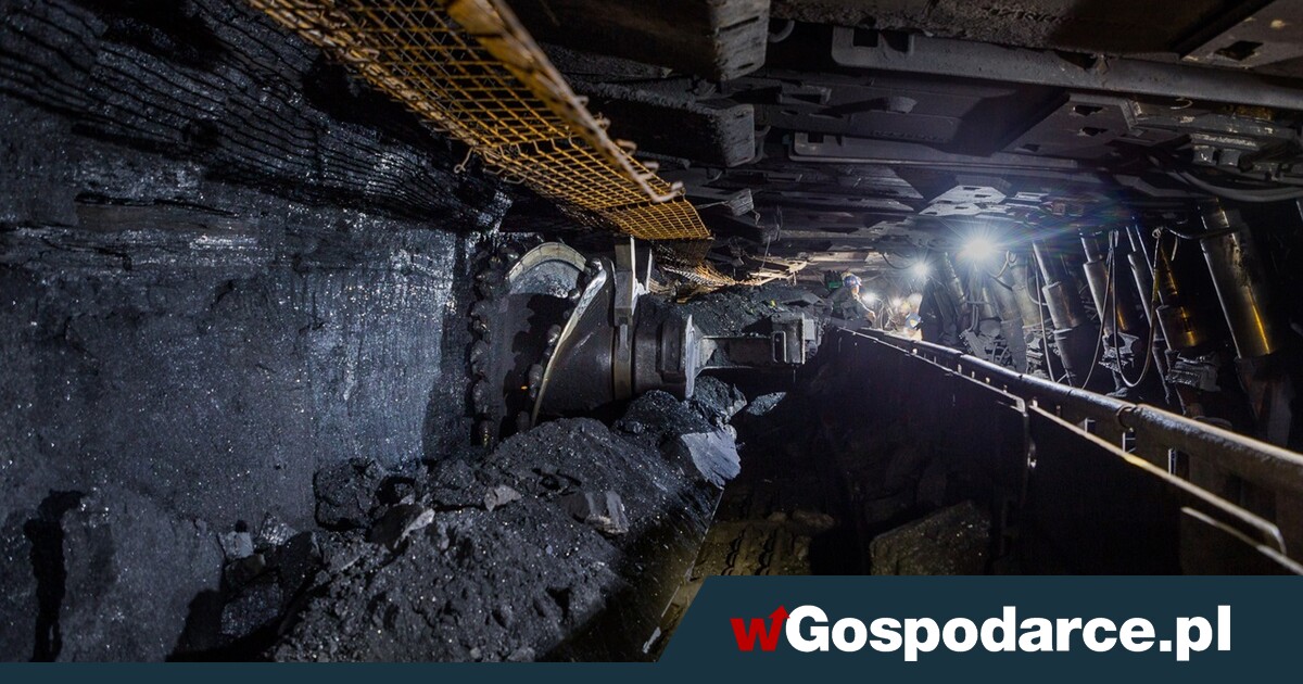 Dobre wieści z JSW: bogate złoże w eksploatacji!