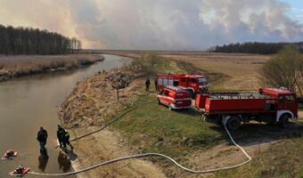 Pożar w Biebrzańskim Parku Narodowym był umyślny?