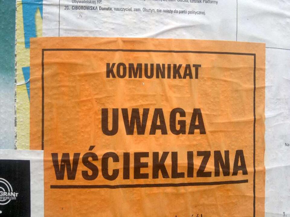Fot. wPolityce.pl