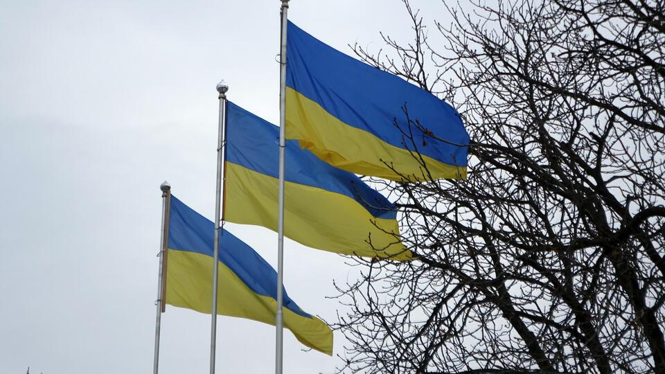 Flagi Ukrainy / autor: Fratria