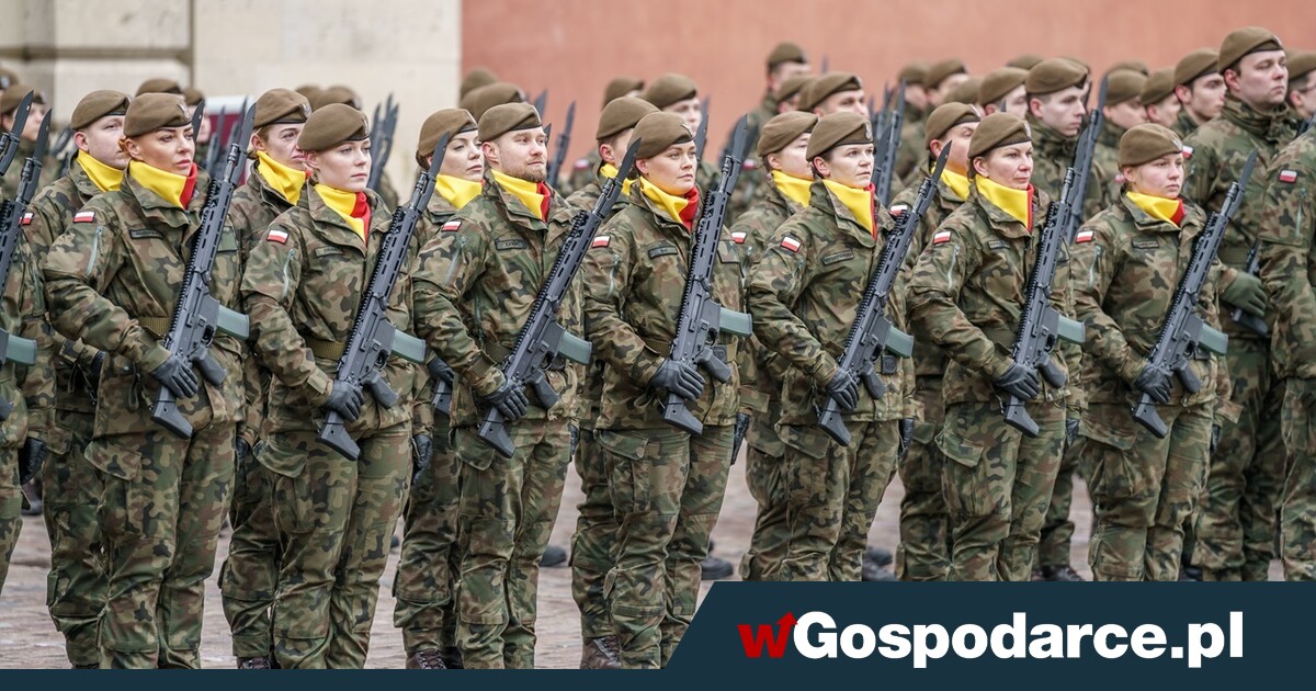 The military reveals - that's how many soldiers we have!