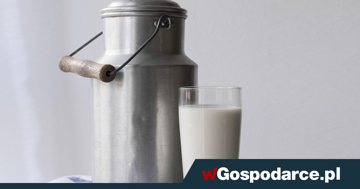 Chińskie cła na polskie mleczarnie