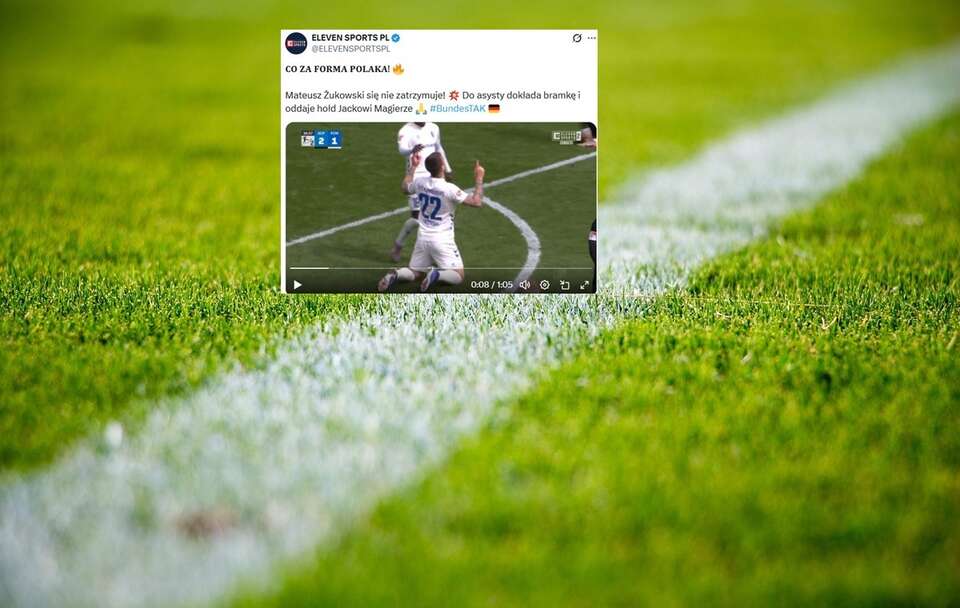 autor: pixabay.com/X