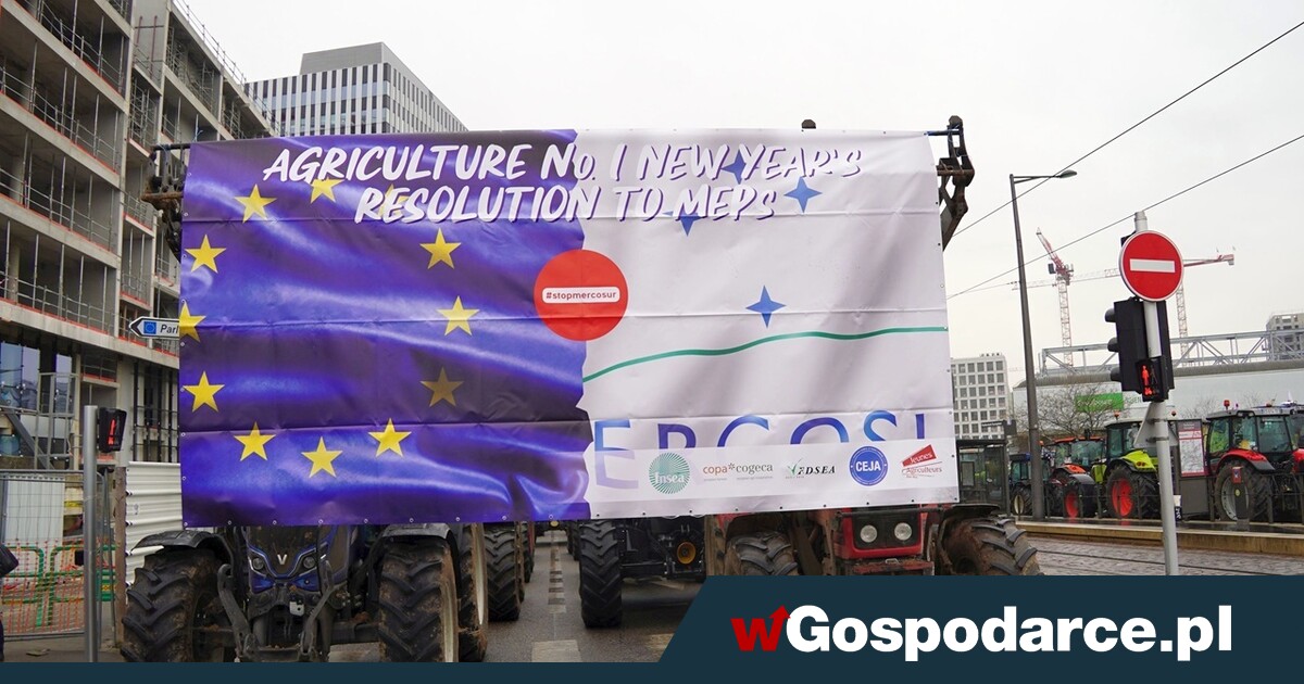 Gra z czasem w sprawie umowy z Mercosur