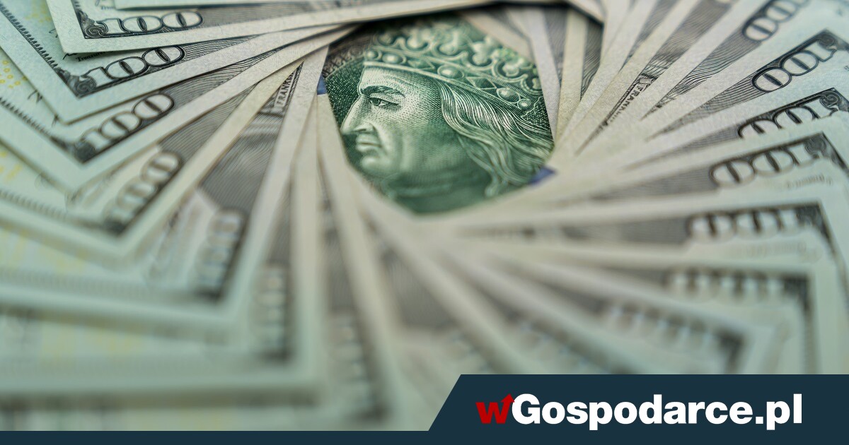 Połowa Polaków ma większy dług niż majątek