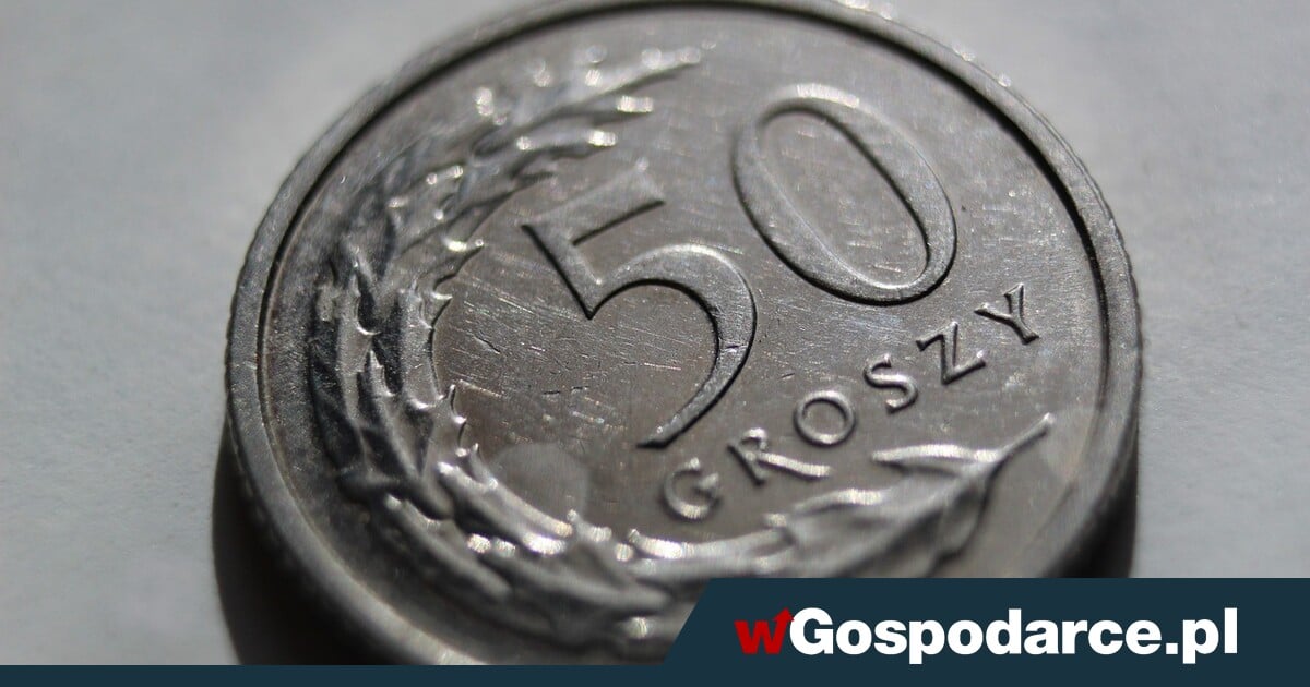 Złoty osłabił się do EUR i USD. Kurs walut 28 sierpnia