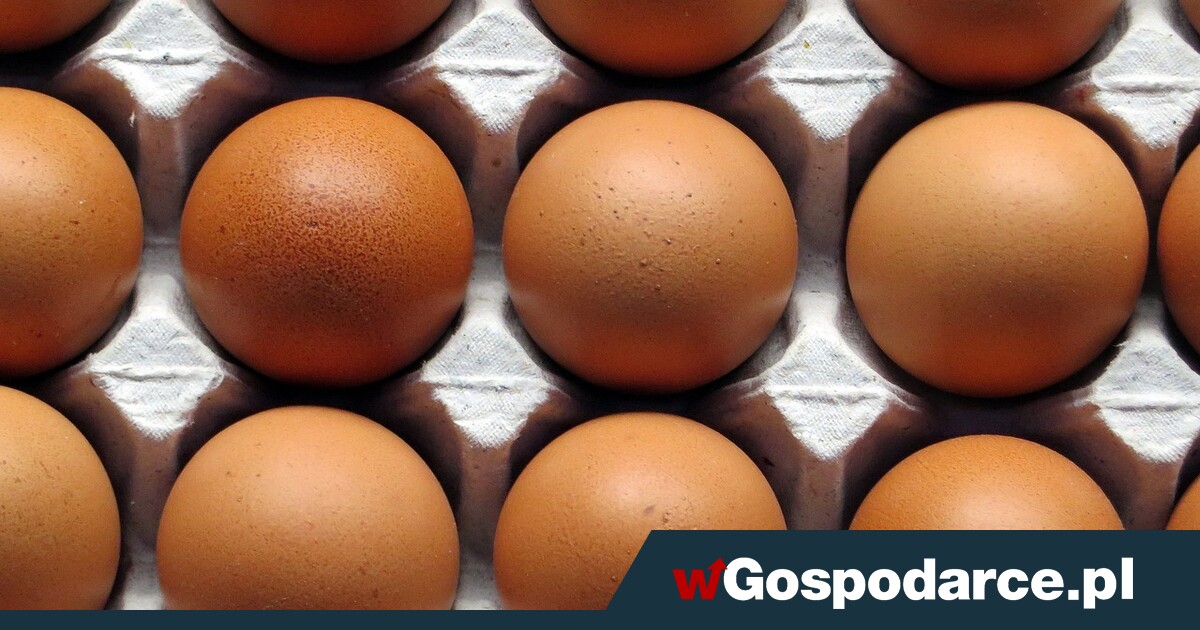 Ceny jaj w rok w górę o jedną trzecią