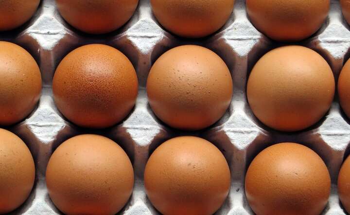 Średnia cena w połowie lipca wynosiła ponad 254 euro za sto kilogramów / autor: Pixabay