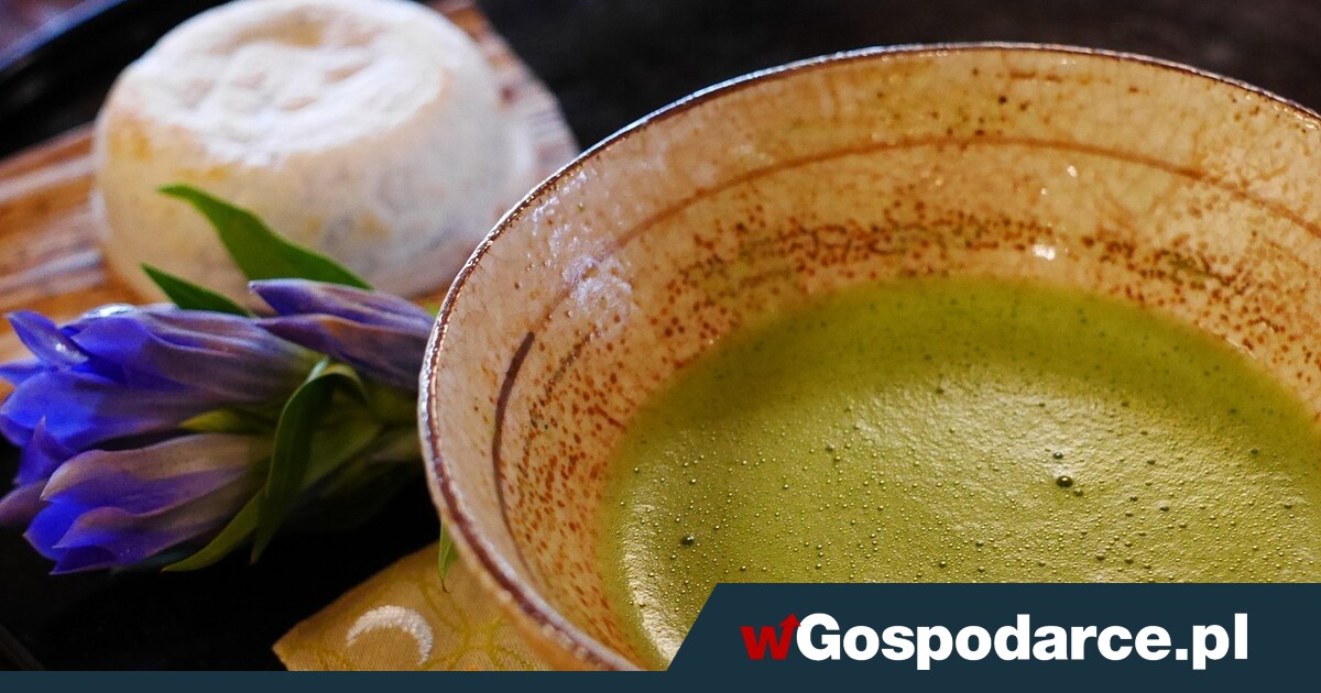 Matcha – kto powinien na nią uważać?