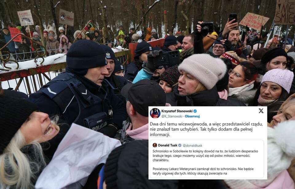 Rządzący próbują przypisać sobie sukces związany z akcją w schronisku w Sobolewie. / autor:  PAP/Paweł Supernak