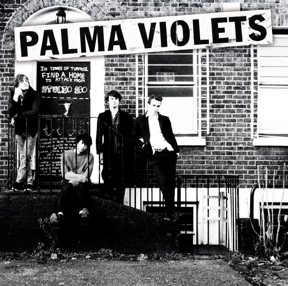 facebook.com/palmaviolets