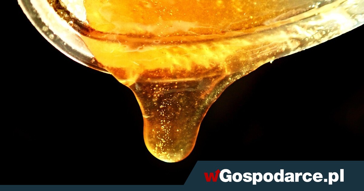Popularny miód zniknie ze sklepów