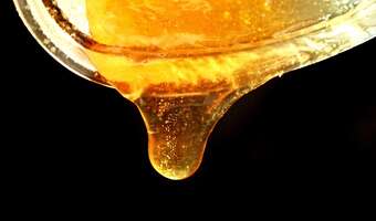 Popularny miód zniknie ze sklepów