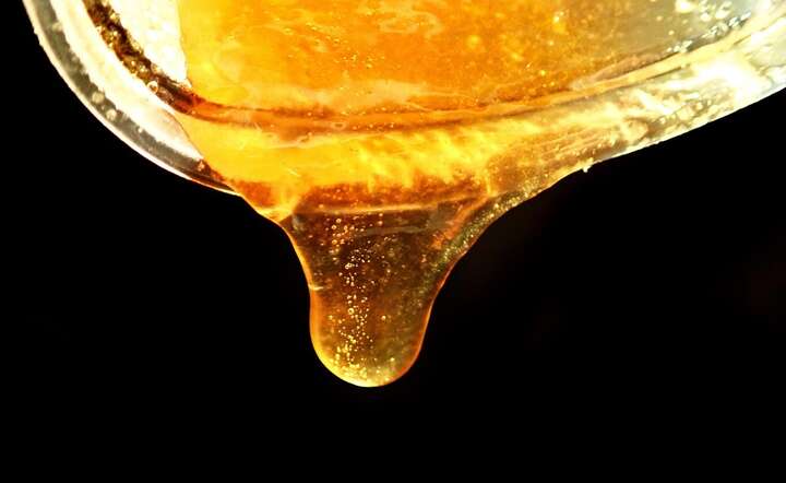 Usuwanie pyłku w miodzie przefiltrowanym ułatwia mieszanie miodów z różnych krajów / autor: Pixabay