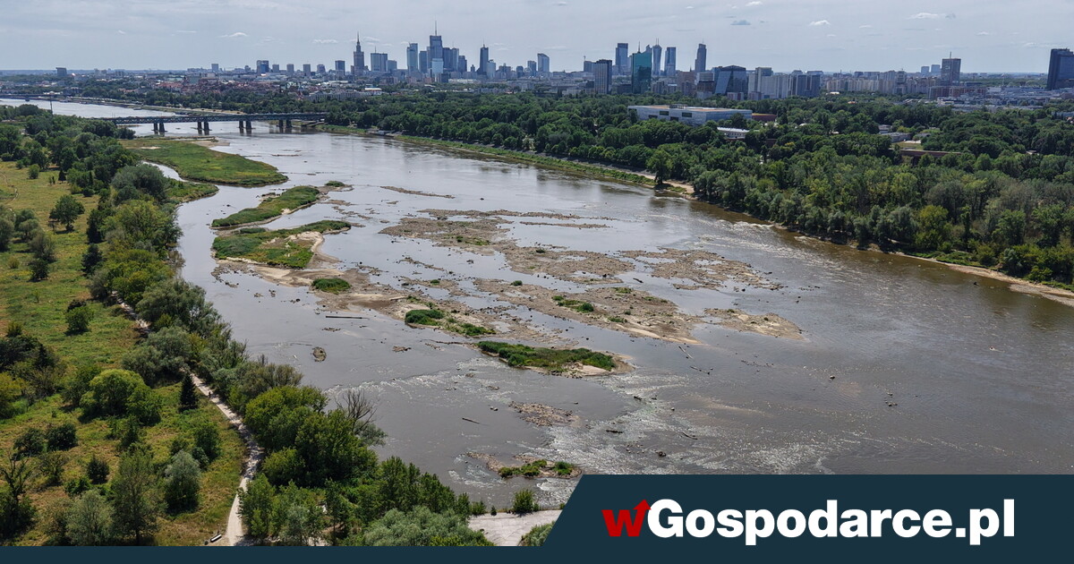 Co za lato! Największe rzeki nam wysychają