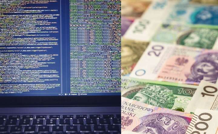 W ubiegłym roku CSIRT KNF zidentyfikował i zgłosił do blokady blisko 42 tys. niebezpiecznych domen / autor: Pixabay / Fratria AS