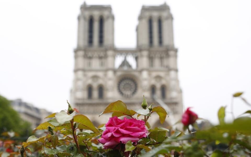 Notre Dame, Paryż / autor: PAP/EPA