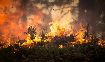 Bolsonaro zmienia podejście do pożarów w Amazonii