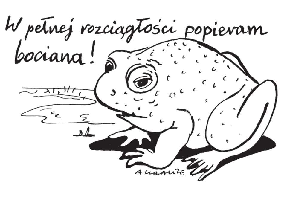Rys. Andrzej Krauze