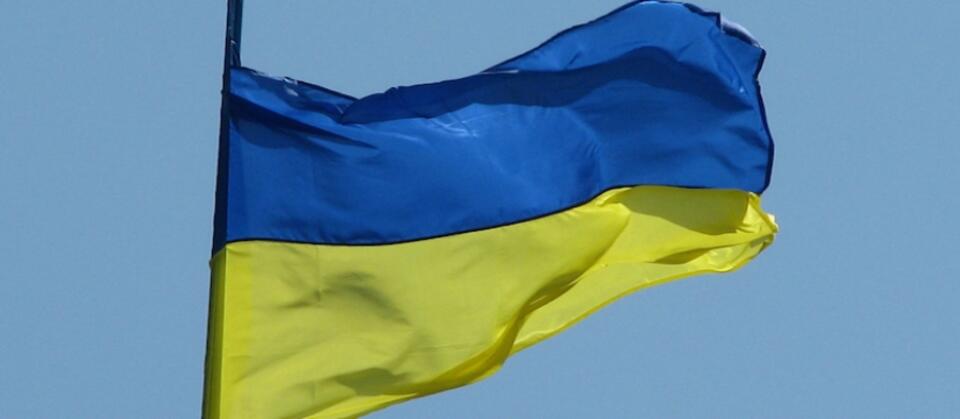 fot.FreeImages.com/Tatiana Mironova