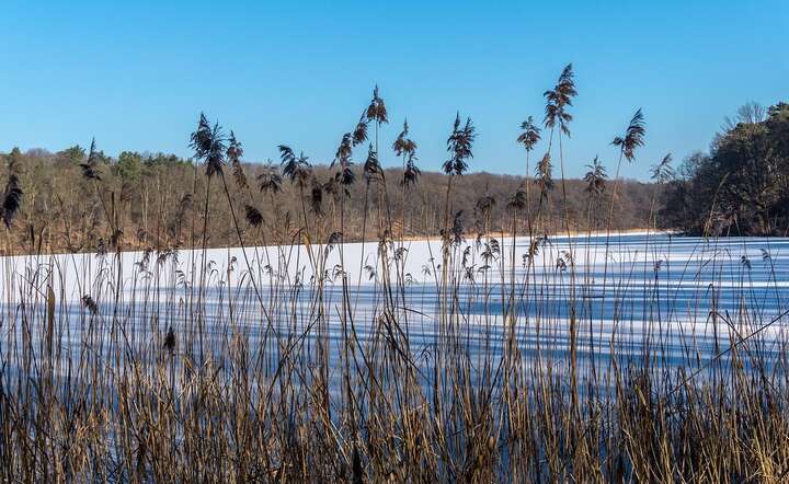 Jezioro Hańcza zamarza najpóźniej ze wszystkich jezior w północno-wschodniej części Polski. ZDJĘCIE ILUSTRACYJNE / autor: Pixabay