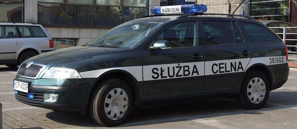 autor: fot. wikipedia/Marcin Szala